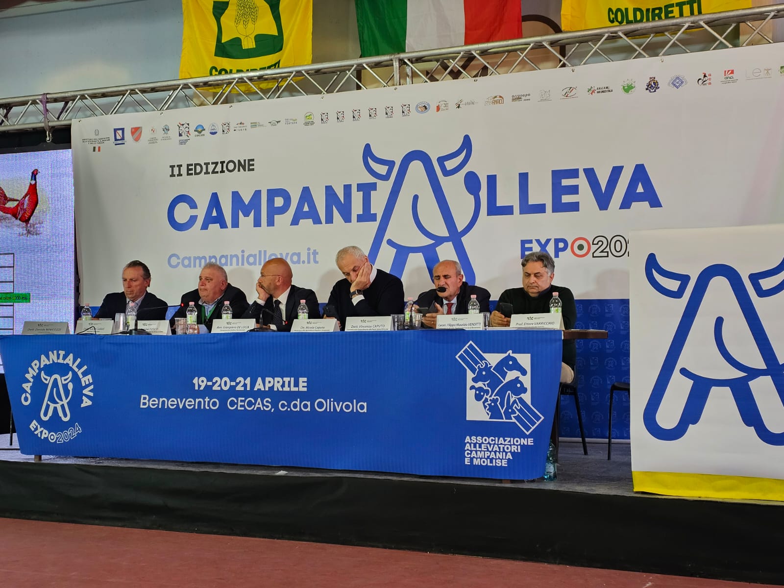 Attivit  del Direttore Generale - Commissario Straordinario PSA