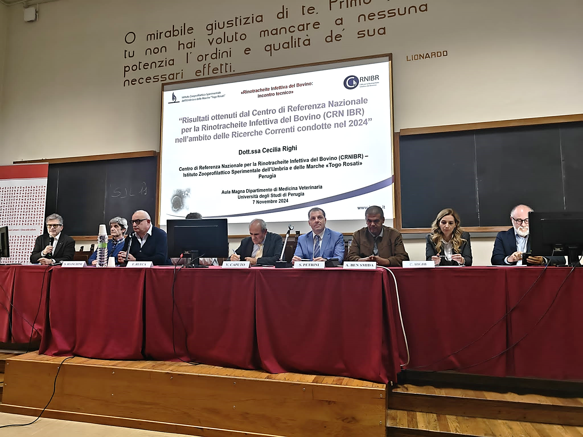 Corso di aggiornamento sulla Rinotracheite Infettiva del Bovino - IBR