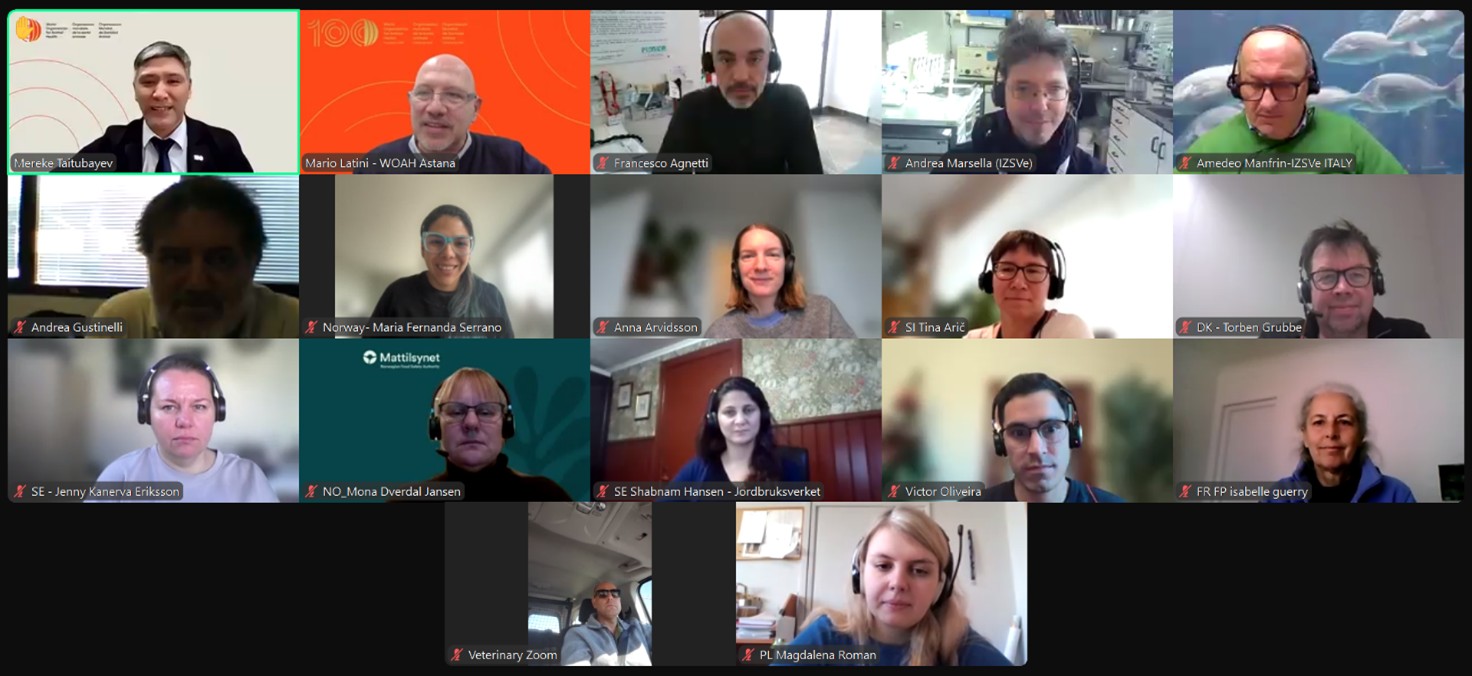 Webinar of the WOAH National Focal Points for Aquatic Animals in Europe