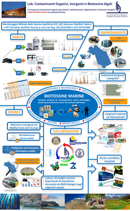 Poster biotossine marine